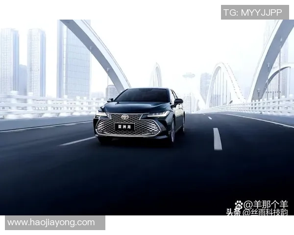 广州乒乓球队在洲际杯积分榜上以62分稳居第一展现强劲实力