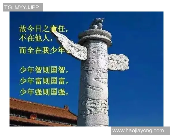 重庆排球队的辉煌征程与冠军赛背后的奋斗故事