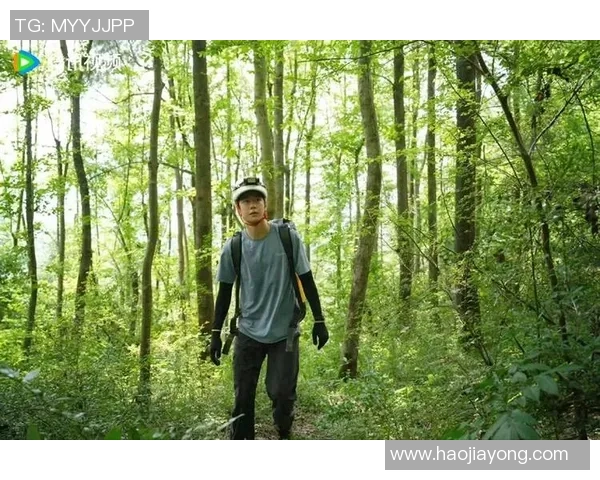 南京攀岩队的控制揭秘：深度分析攀岩技术与团队协作的完美结合