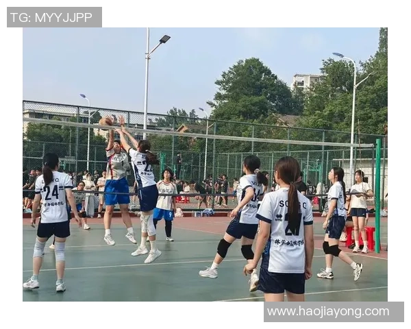 排球心理素质实力榜单权威发布引发热议各队表现一览无遗