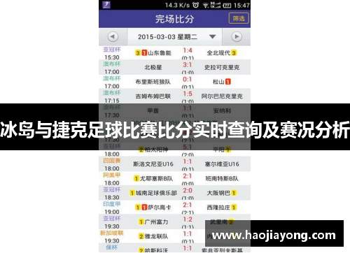 冰岛与捷克足球比赛比分实时查询及赛况分析
