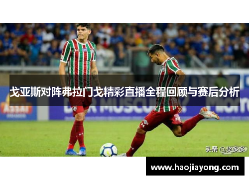 戈亚斯对阵弗拉门戈精彩直播全程回顾与赛后分析