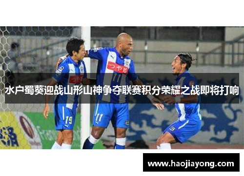 水户蜀葵迎战山形山神争夺联赛积分荣耀之战即将打响